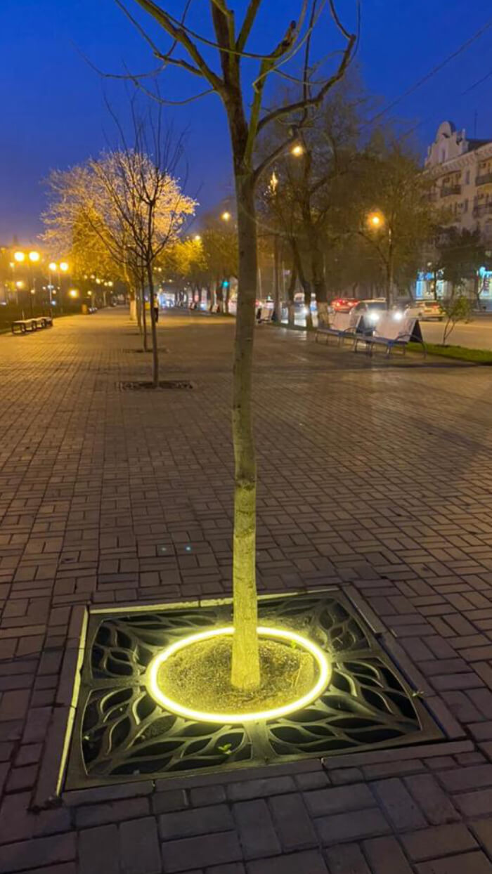 Приствольная решетка для дерева ZKING CRUST 1.2х1.2м Черная в Миассе фото